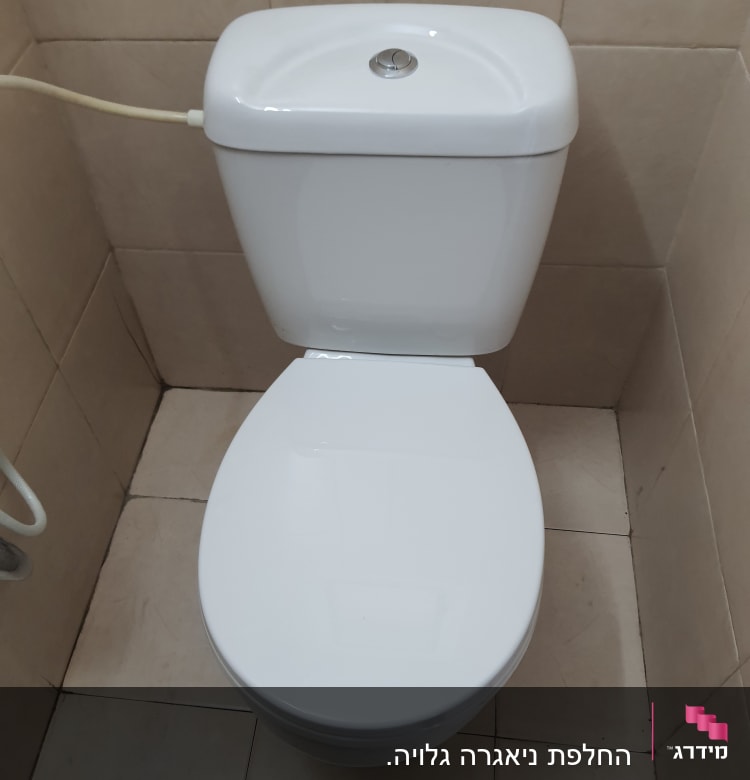 אסלה לבנה עם מיכל הדחה וכפתור לחיצה